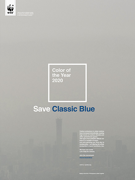 Save Classic Blue WWF
