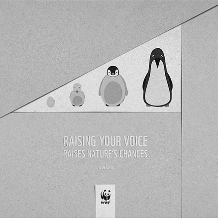 Raise Your Voice WWF