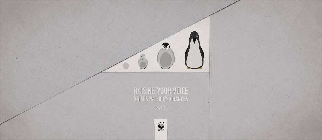Raise Your Voice WWF